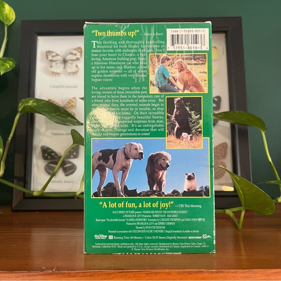 Family Movie VHS Bundle - Vintags VHS - Picture 6 of 9